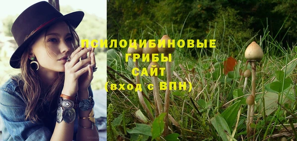 гашиш Алексин