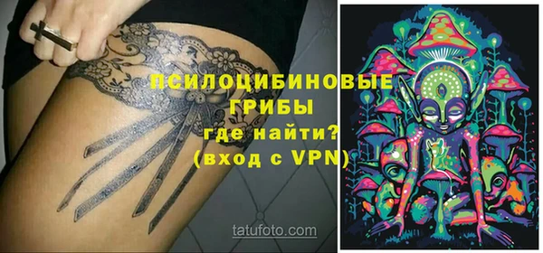 a pvp Алексеевка