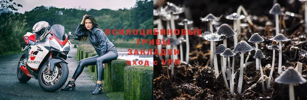 a pvp Алексеевка
